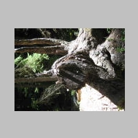 Tamanawas 07Aug2014 016.jpg